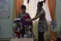 �����������